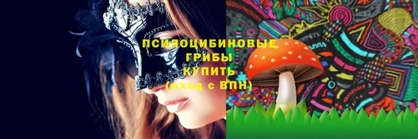 трава Козельск