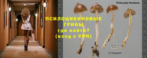 трава Козельск