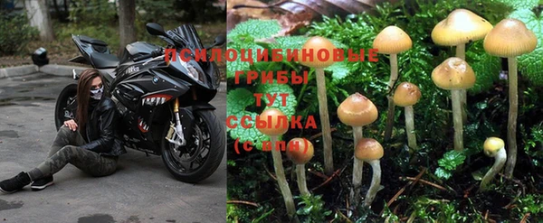 синтетический гашиш Кодинск