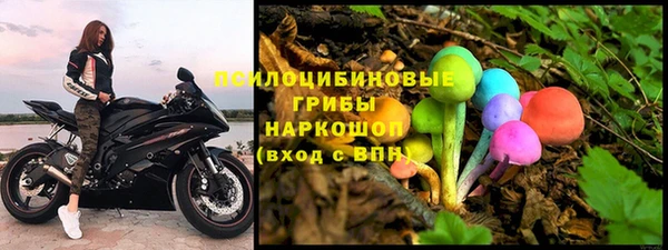 трава Козельск