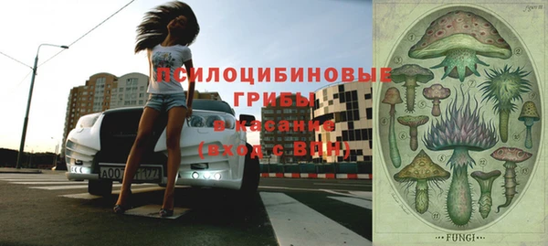 трава Козельск